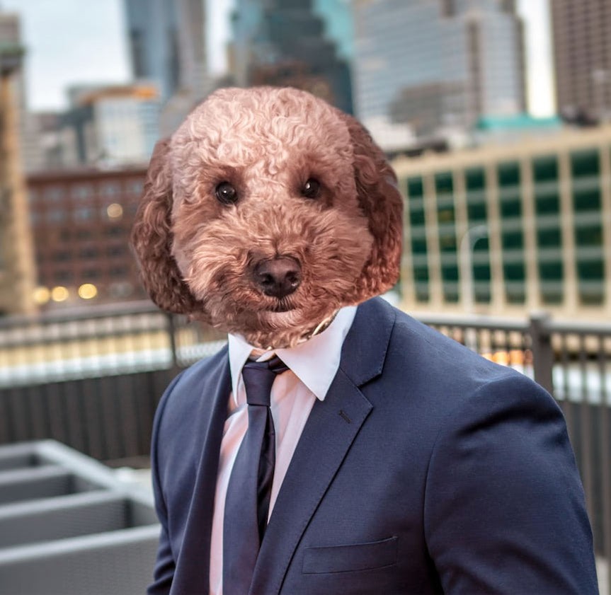 People in the office