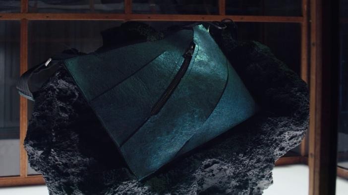 T rex bag in the museum