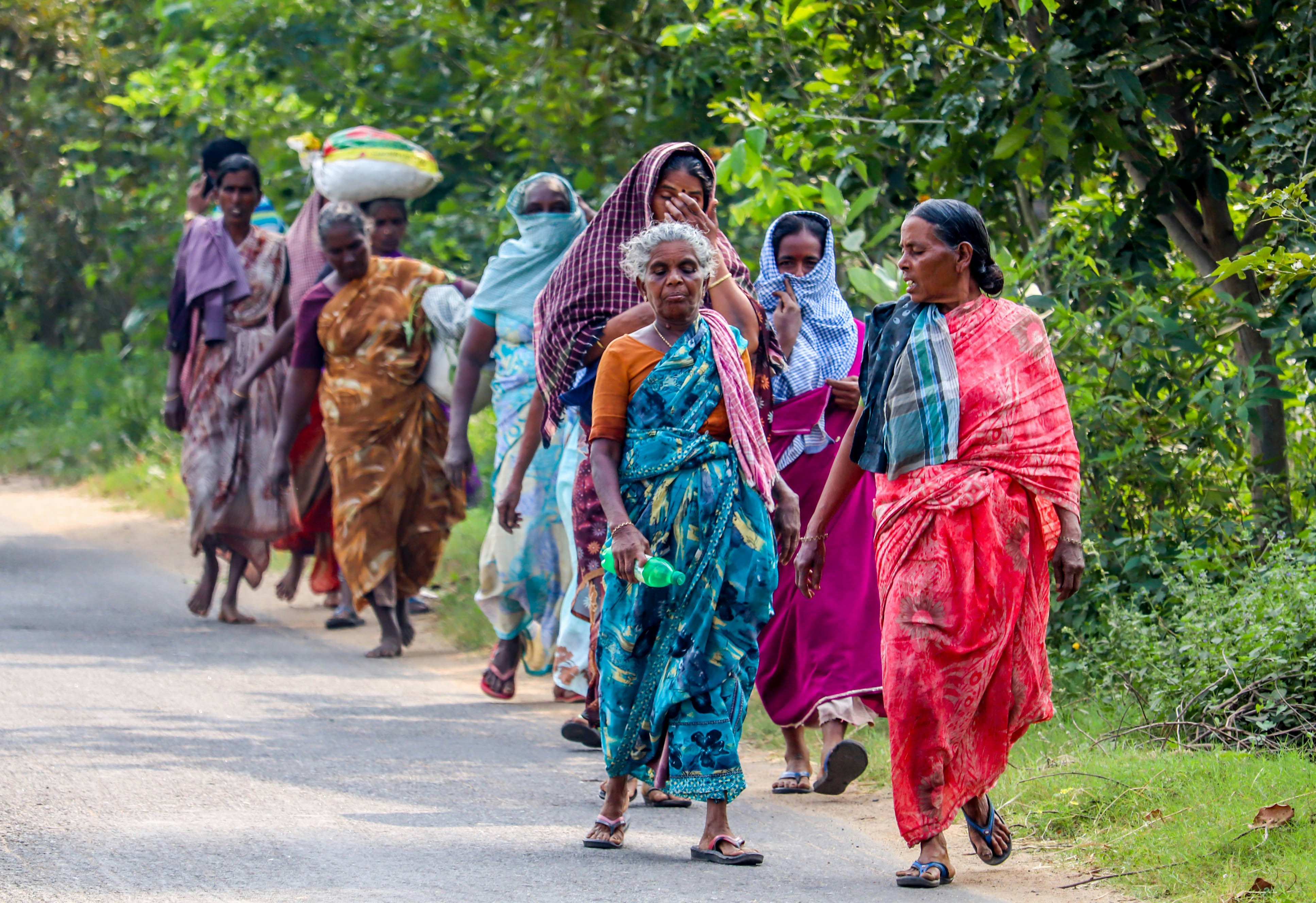 group of women wearing saree dress walking beside trees