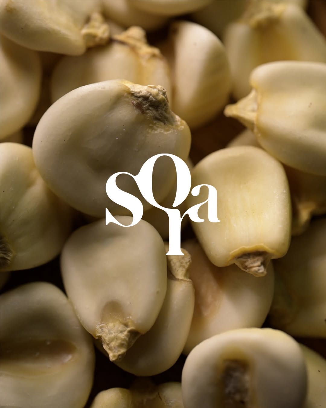 Batch.Works product catalogue book on a work top with a graphic printed image on the front