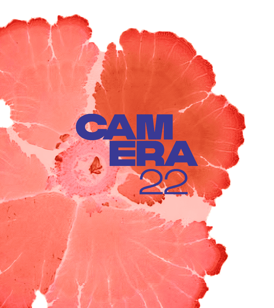 Camera22