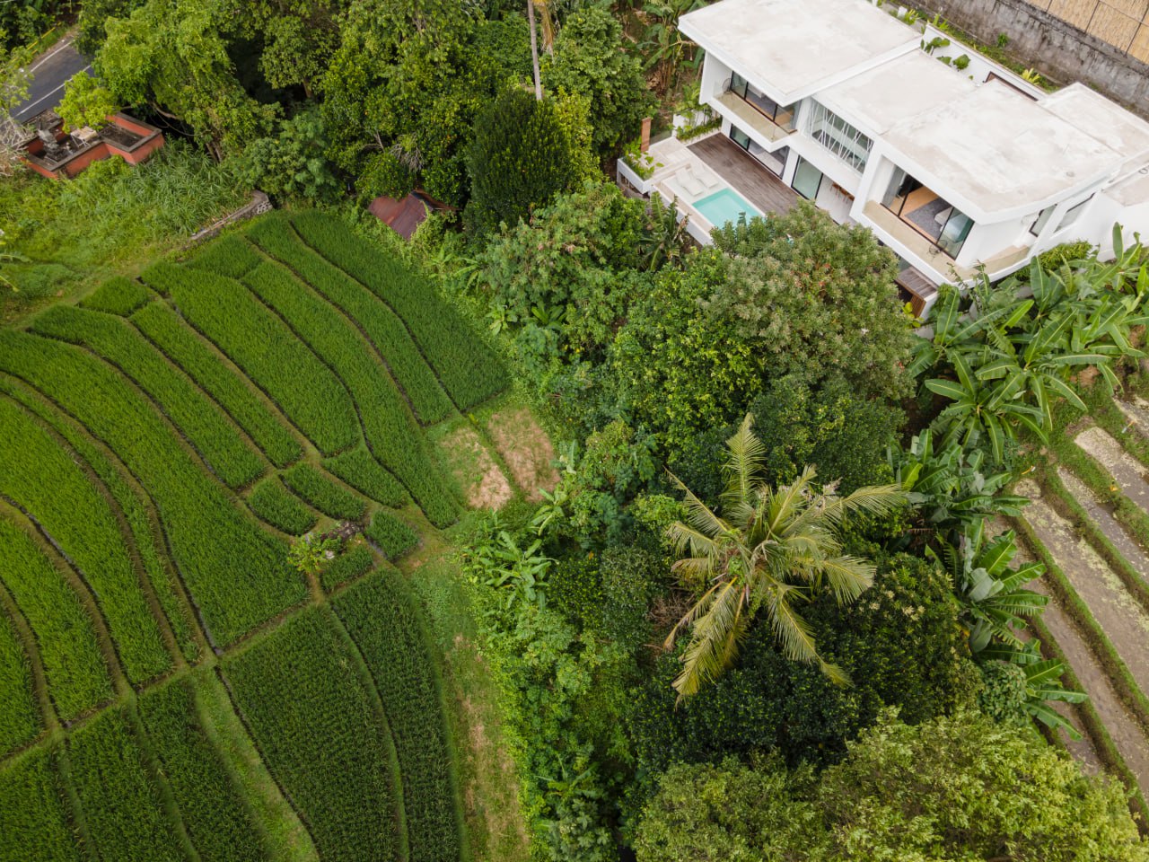 Сompleted designer 2-bedroom villa in Canggu (Babakan) with a panoramic pool overlooking jungle and rice field scenery