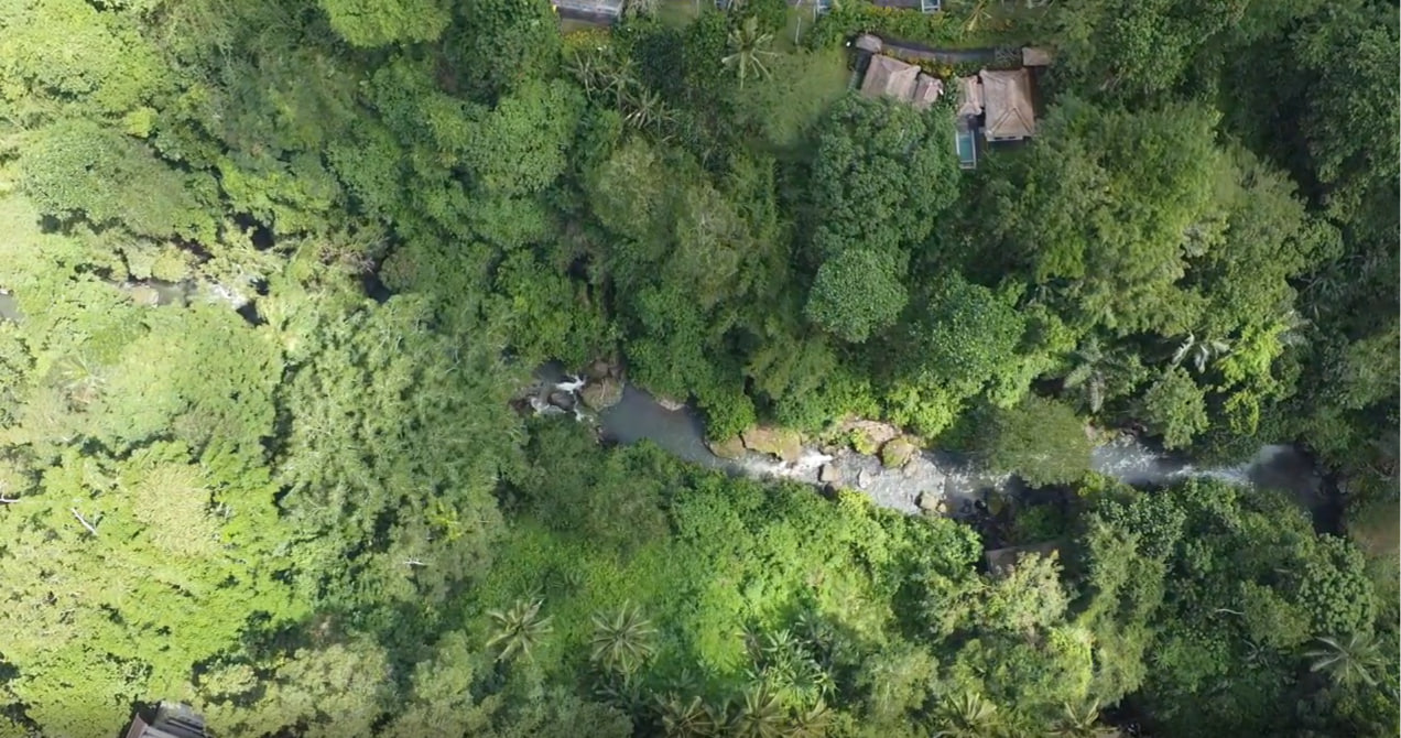 Land plot 1660 m² in Ubud, Leasehold
