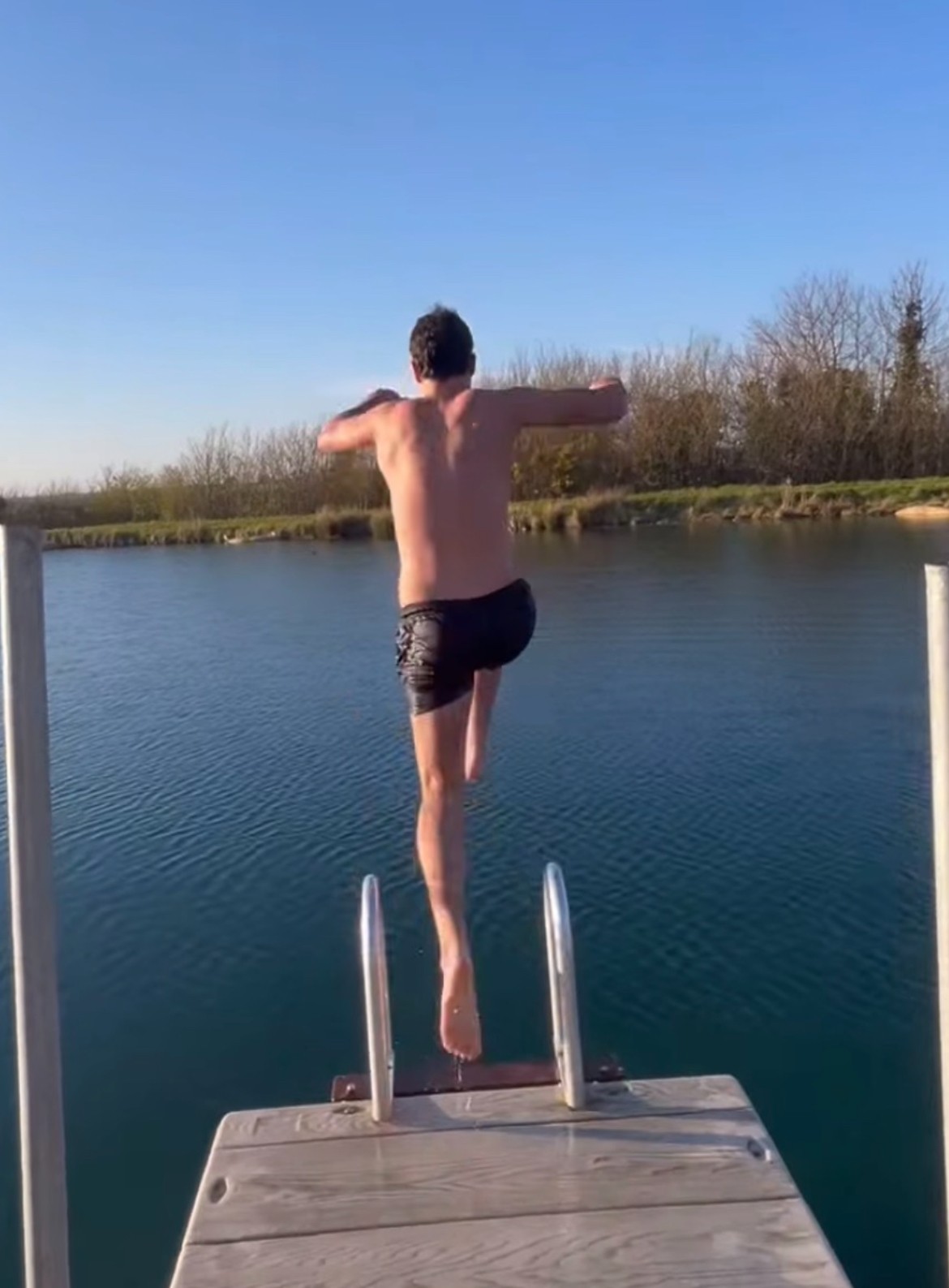 Close-up of a tree stump showing growth rings and a textured brown wood surface.