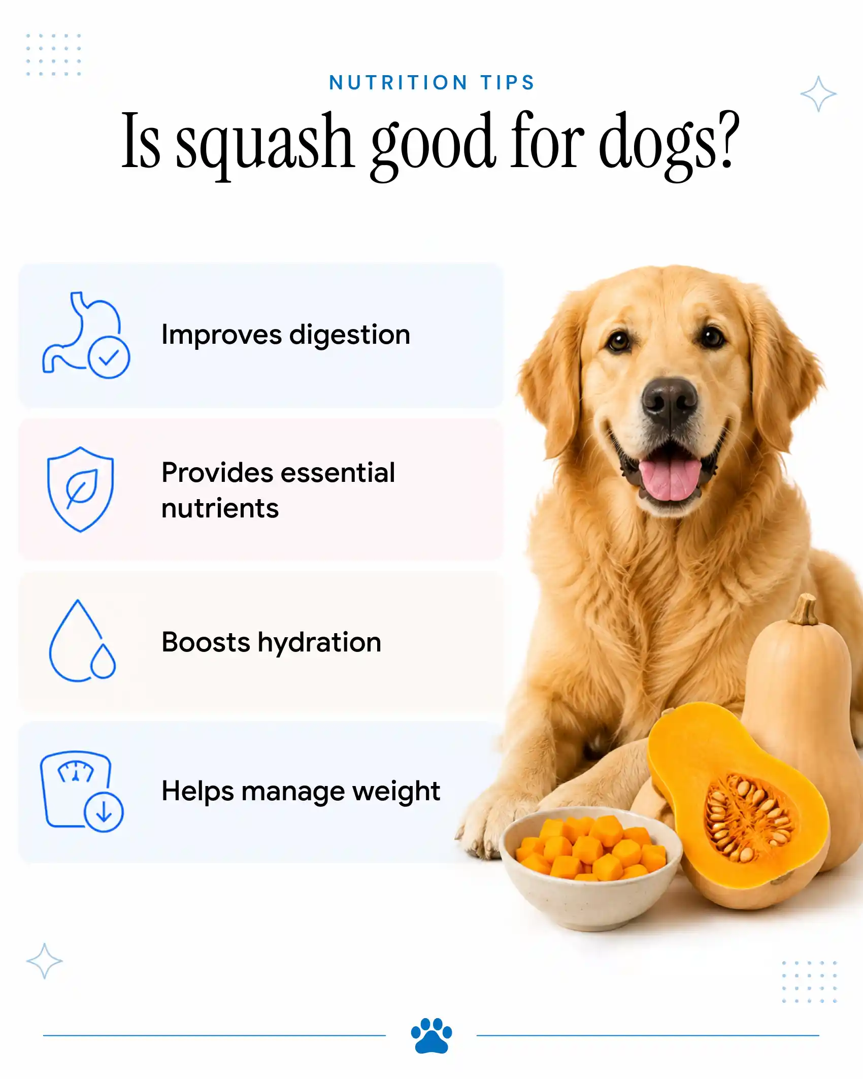 An infographic showing the benefits of squash for dogs.