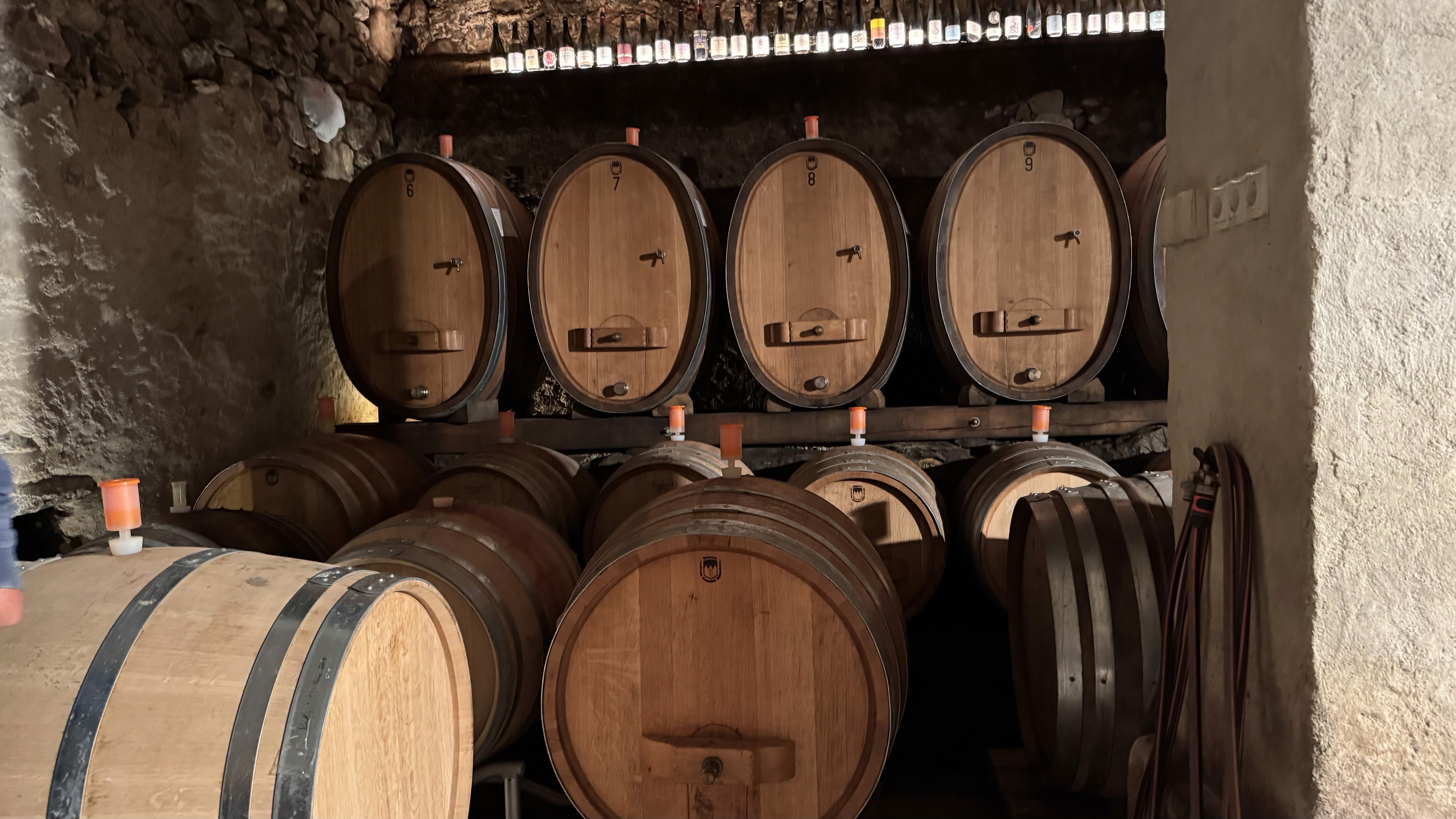 Grapes are gently pressed over many hours before fermenting naturally with native yeasts, allowing each barrel to develop at its own pace.