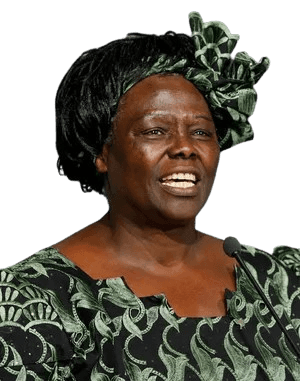 Color portrait of a woman speaking at a podium, wearing a traditional African outfit with a matching headwrap in green and black patterned fabric. She smiles warmly, exuding confidence and strength. The vibrant attire and her poised expression suggest pride in her cultural heritage and a commitment to advocacy.