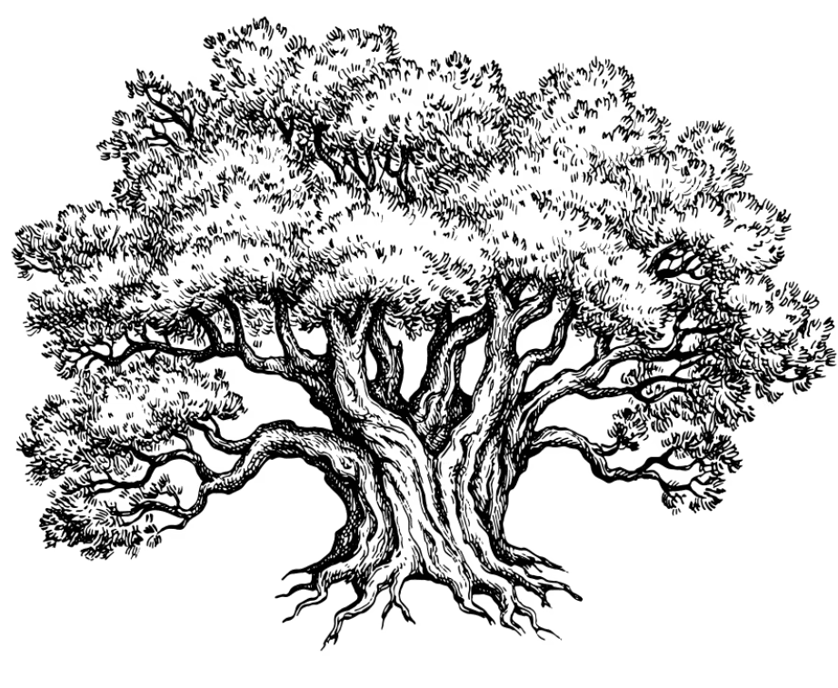 Yew tree silhouette