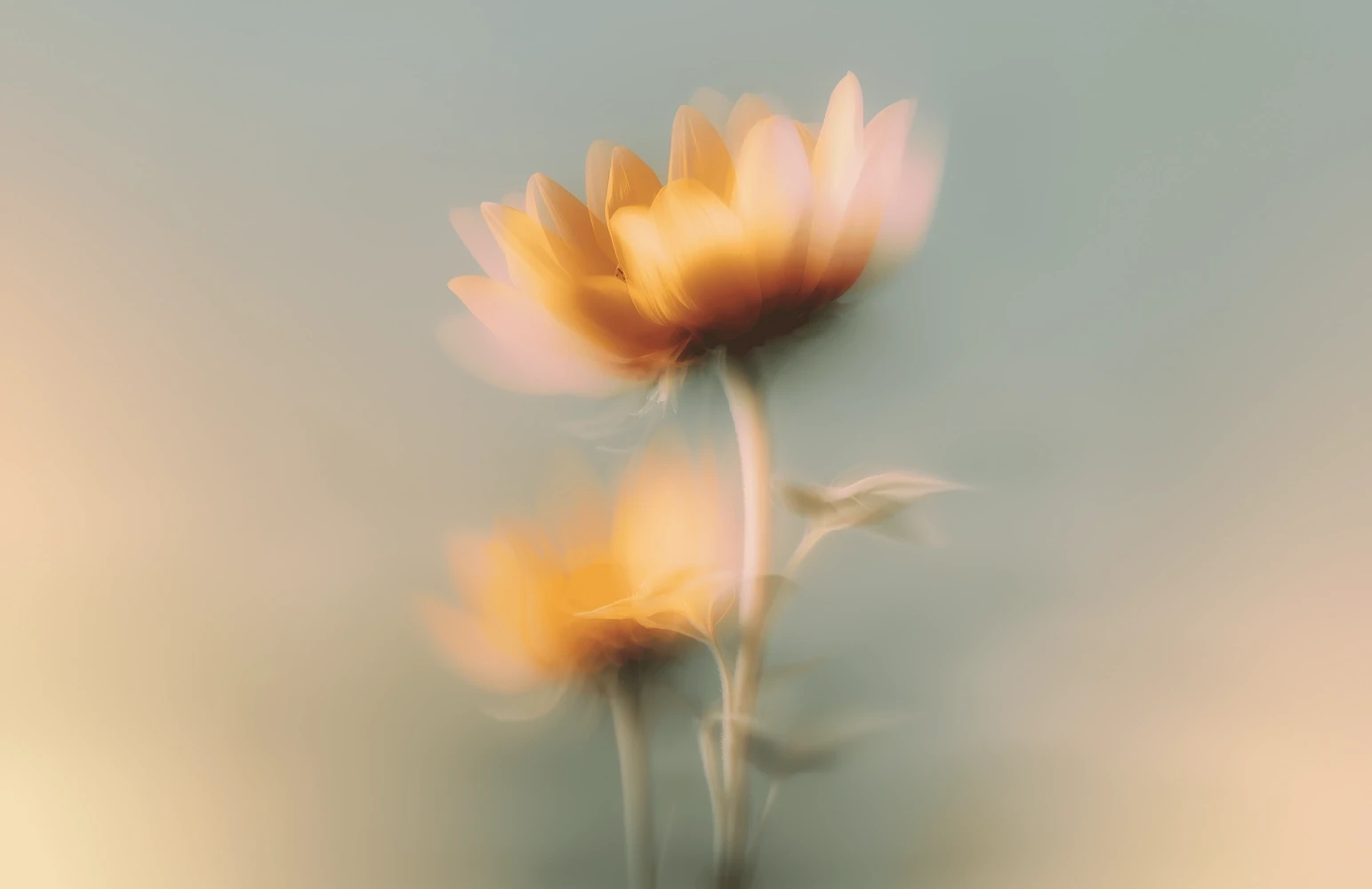 Vira Studio Gamleby s grundare Felix Clausen arbetar med ett nytt kund projekt