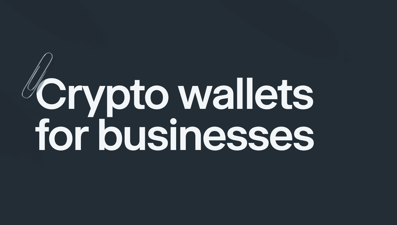 Complete Guide On Choosing A Crypto Wallet For Business