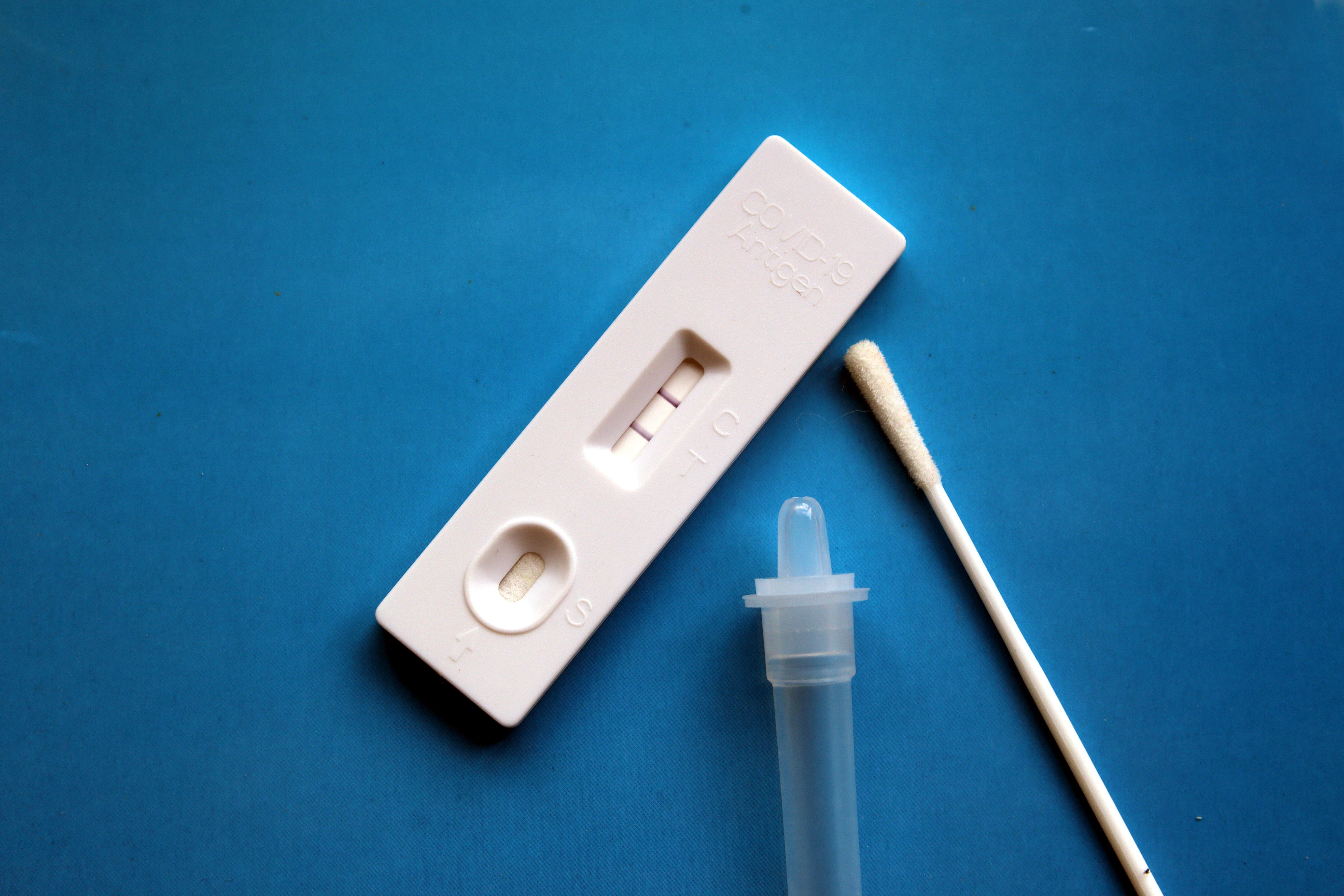 A PCR toolkit. 