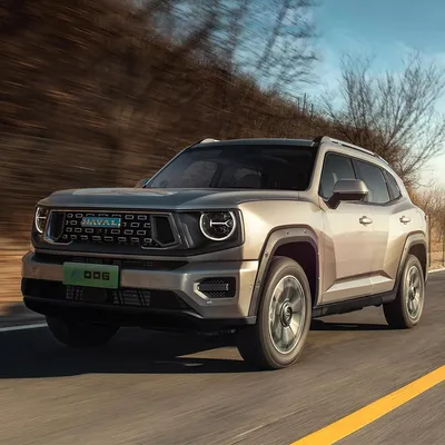 Haval Big Dog