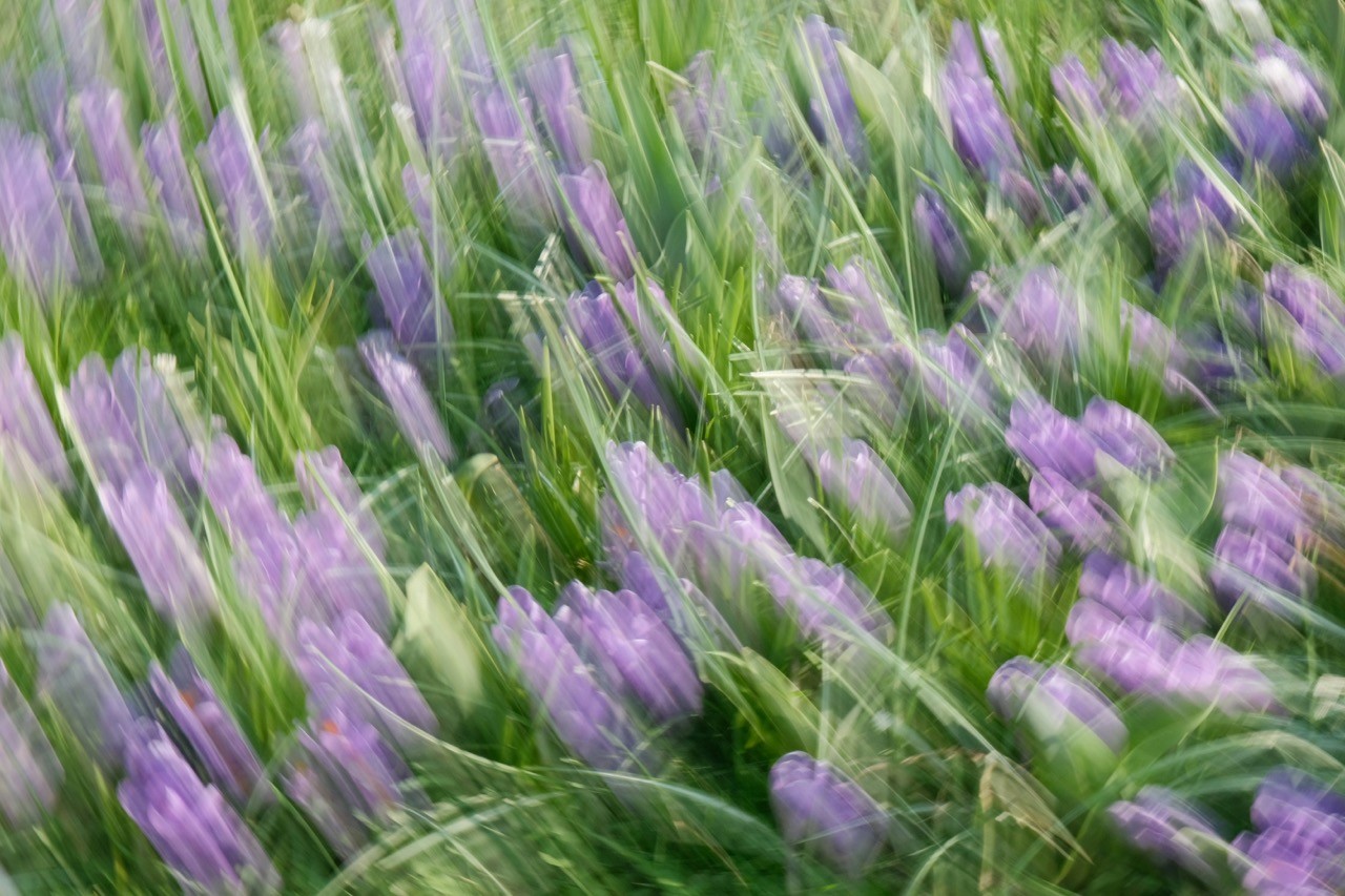 Details Image