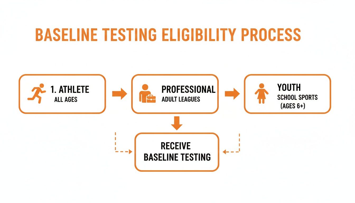 A diagram illustrating the baseline testing eligibility process for athletes in professional and youth sports.