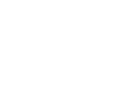 Barrio Burger