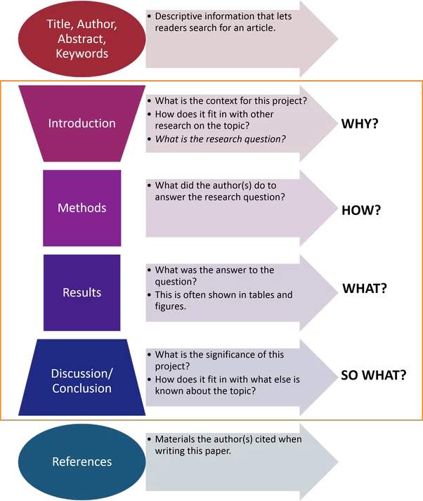 steps to publish research with RISE global education