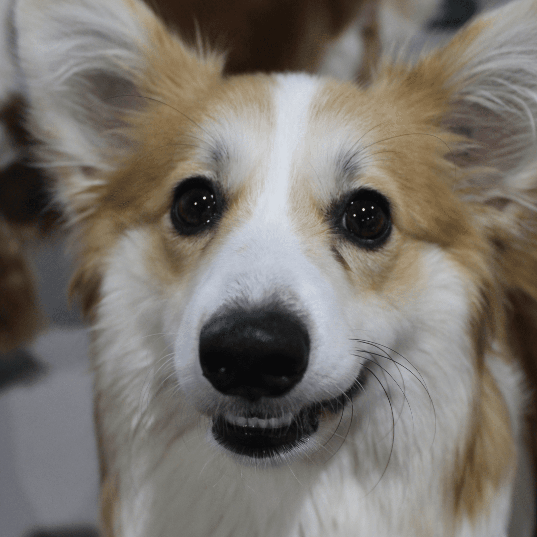 many beauty products on a table
