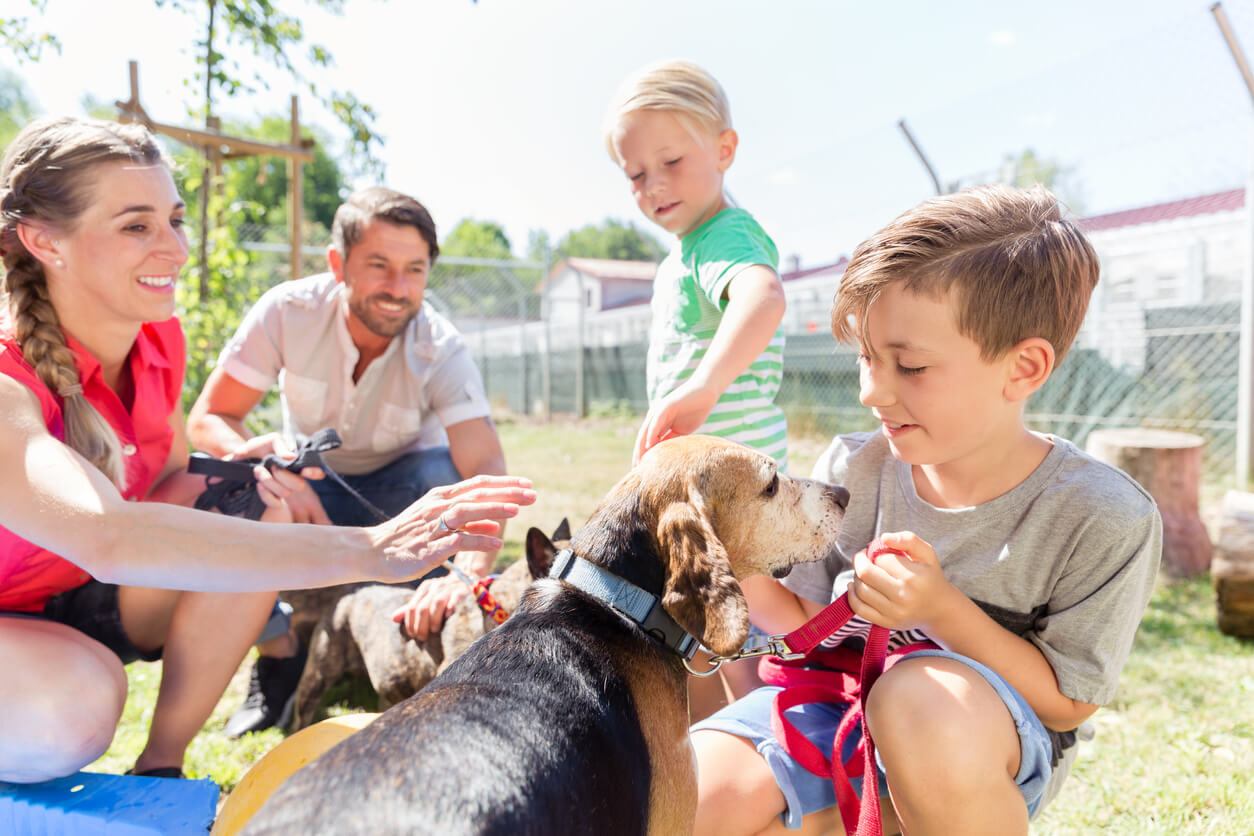 happy family with a dog