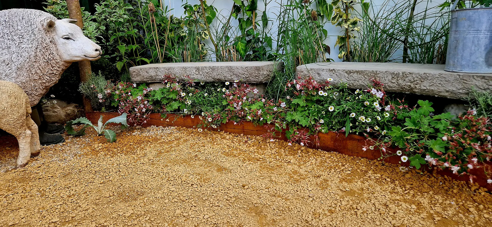 A white sheep stands near a garden area with colorful flowers and a gravel path in the background.