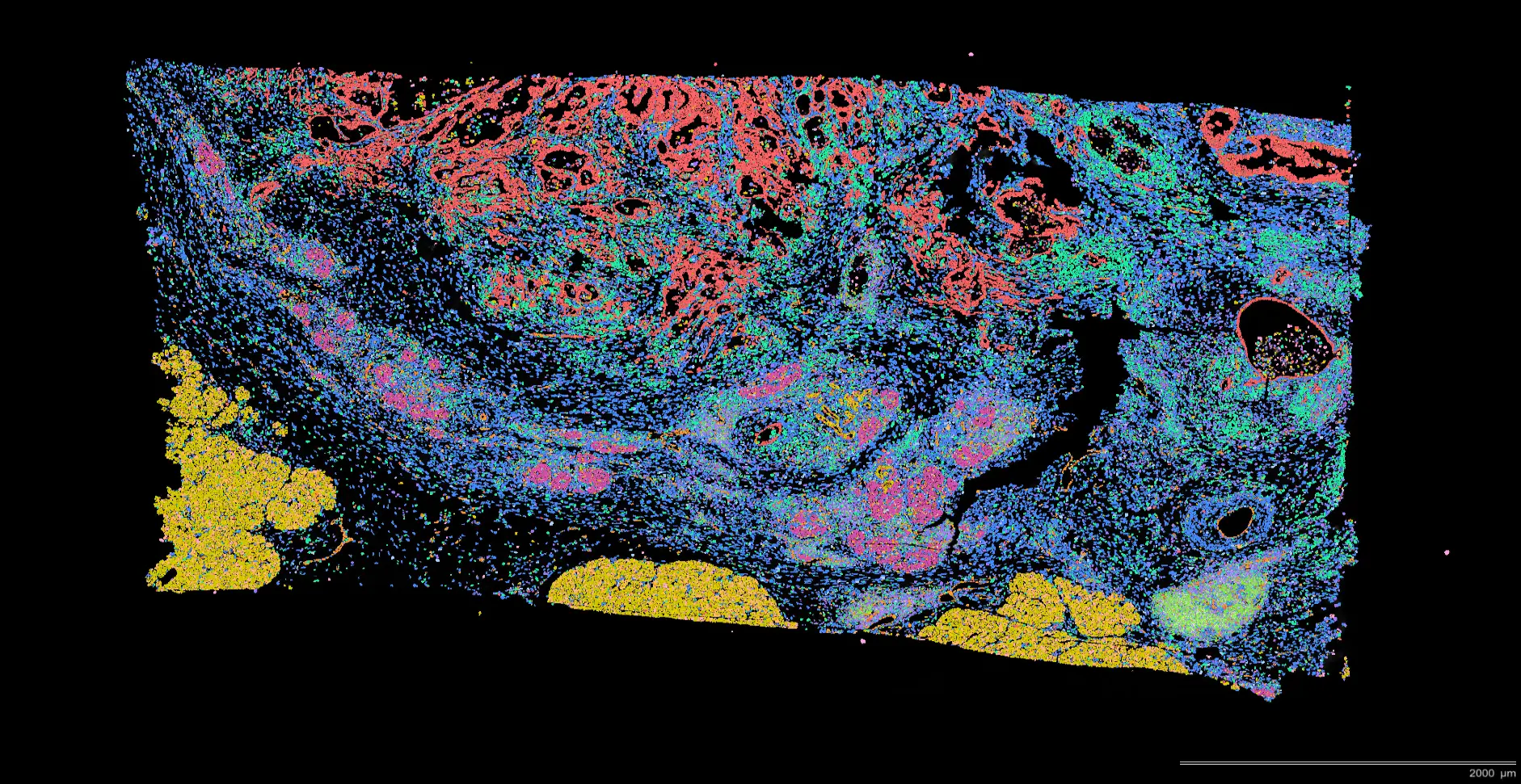 promising-oncology-clinical-trials