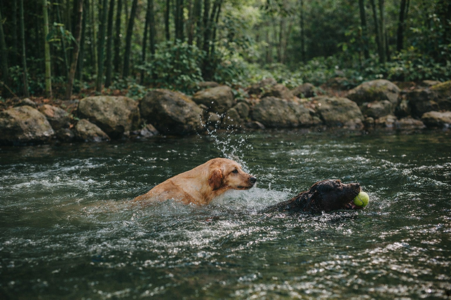 Zenzap Website - Hero Section