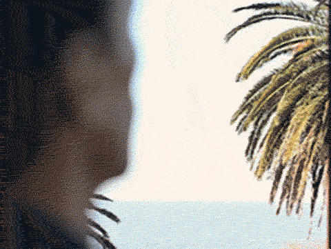 Rustic cabin in a golden field at sunset