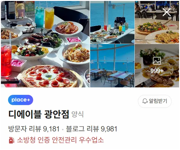 플레이스 최적화 사례
