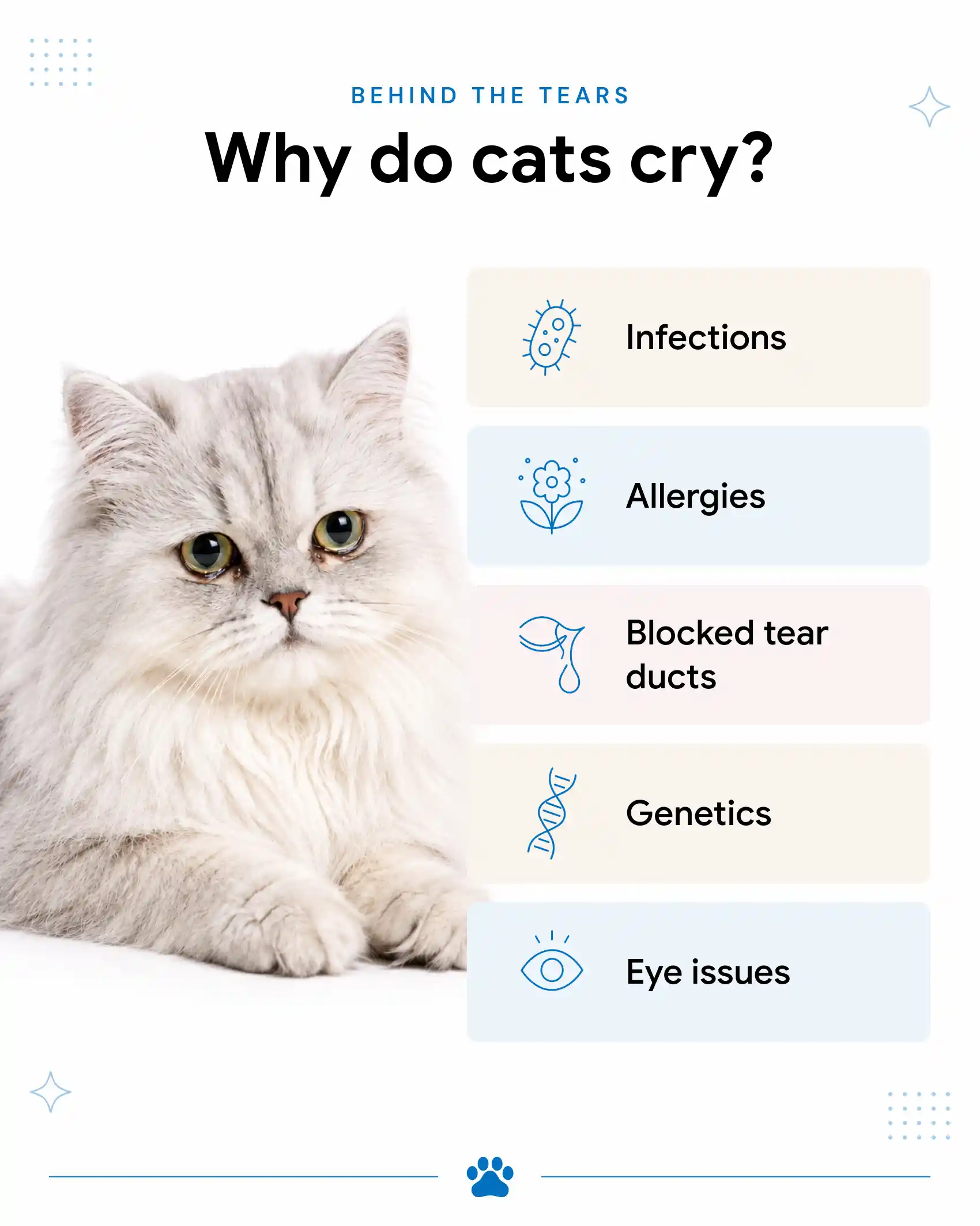 An infographic showing a cat behind a chair and highlighting the reasons why they might cry.