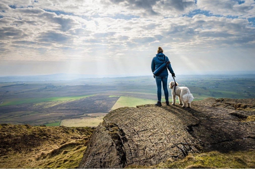 perro frente a un paisaje