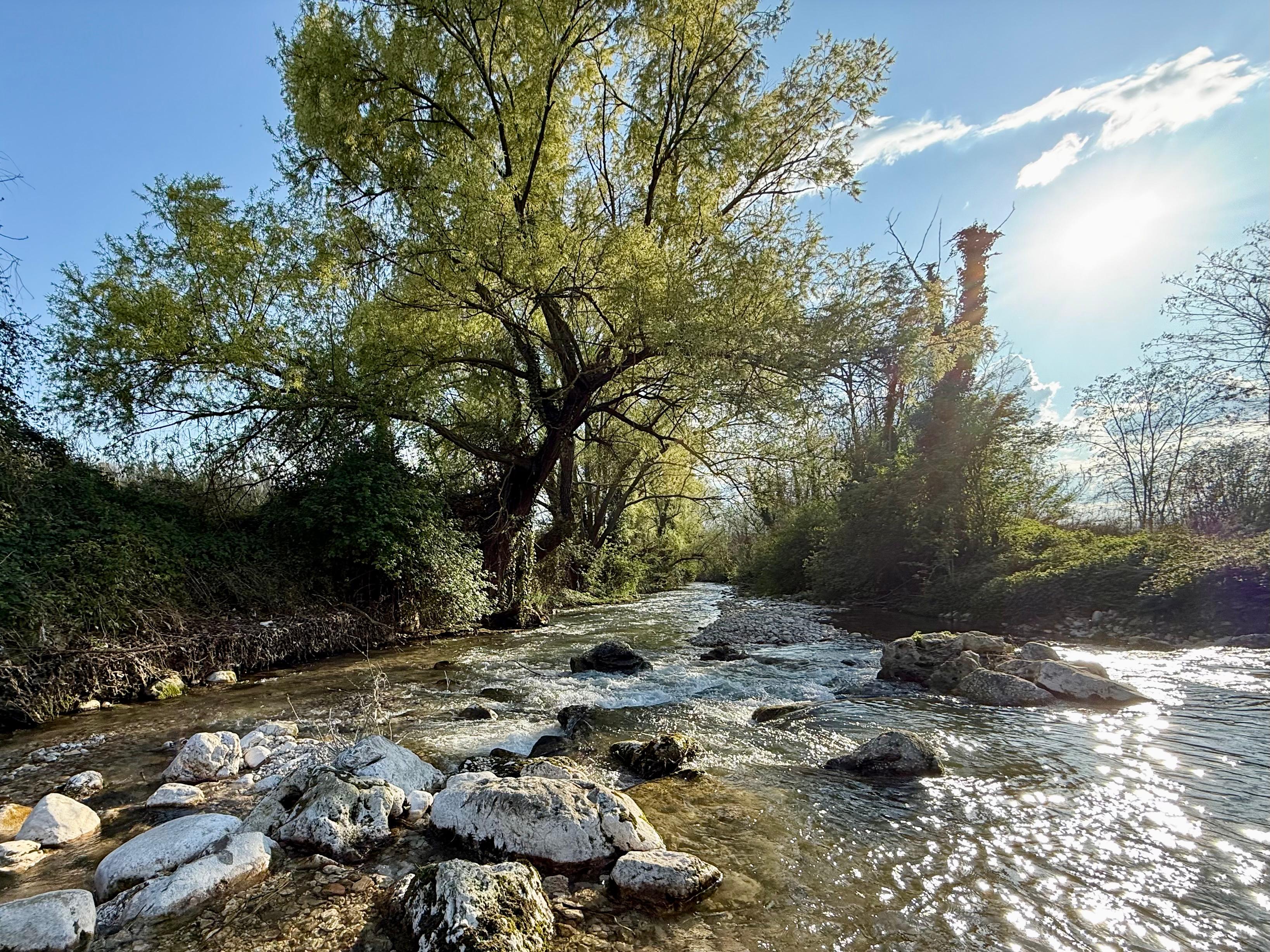 Experience summer hatches and wild trout in the Cavalieri River, perfect for fly fishing.