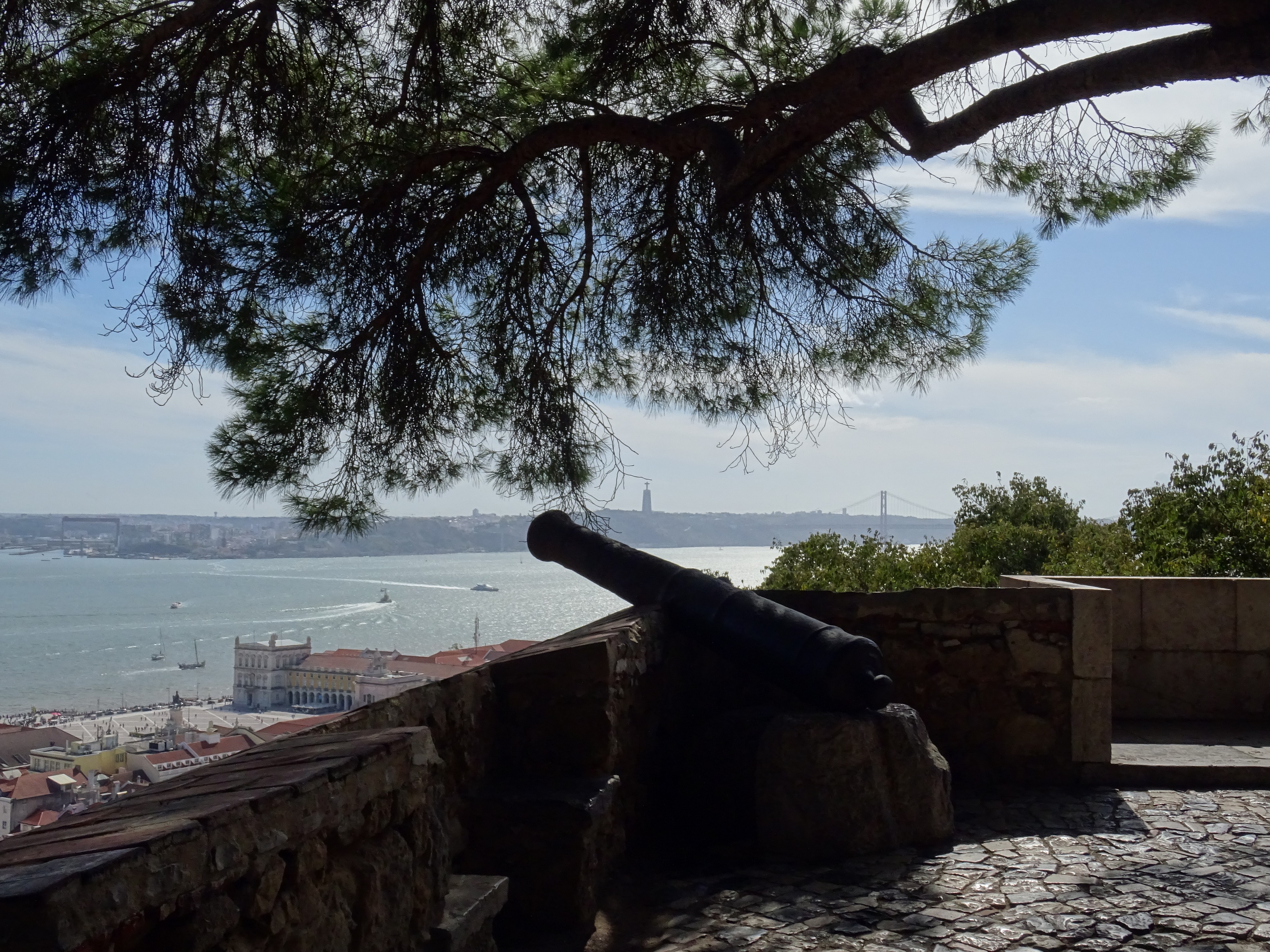“Old cannon under a tree overlooking the sea and distant cityscape.