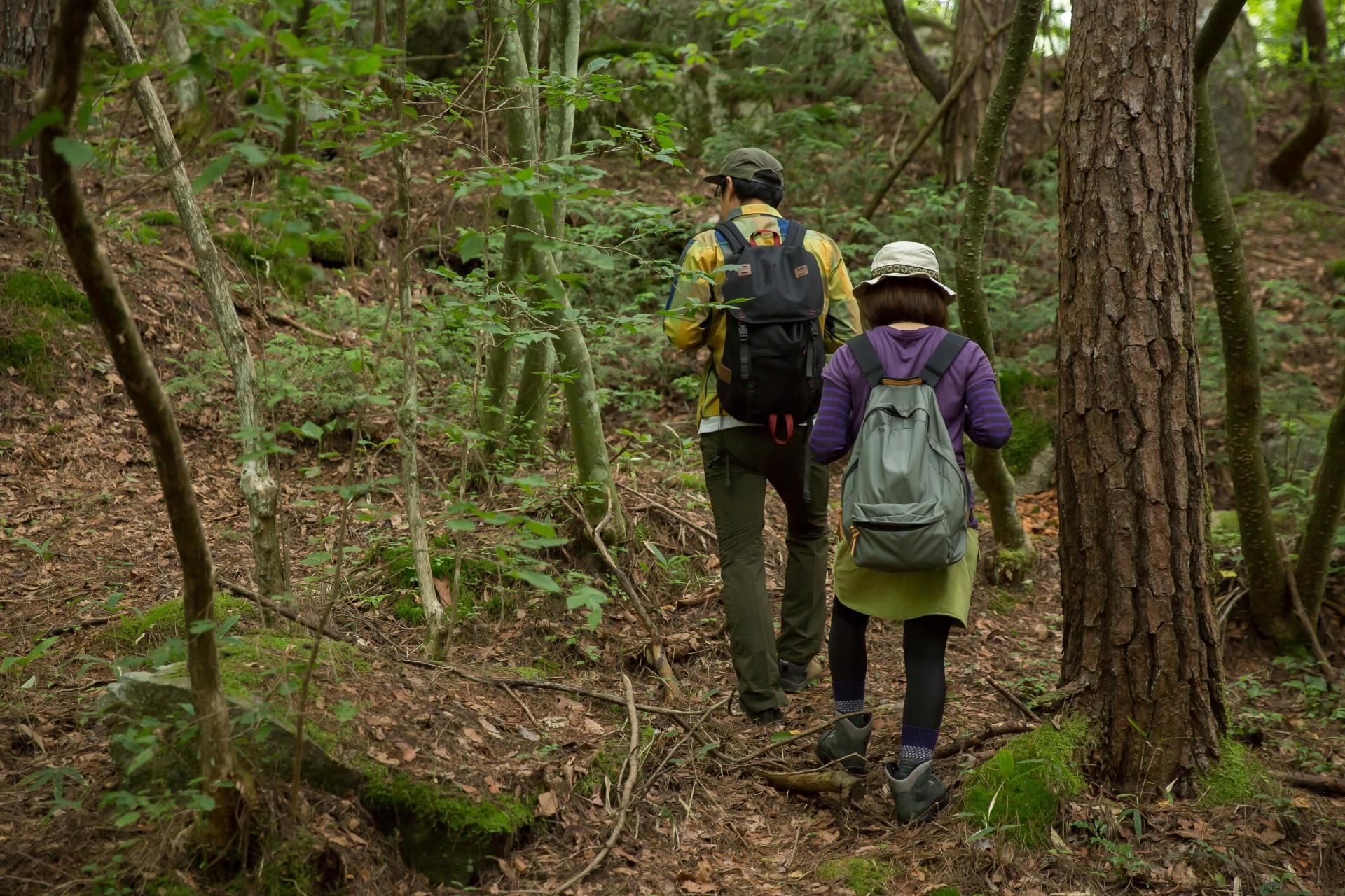 山の中で山菜を探す男女｜山菜とりで身を守る4つの原則
