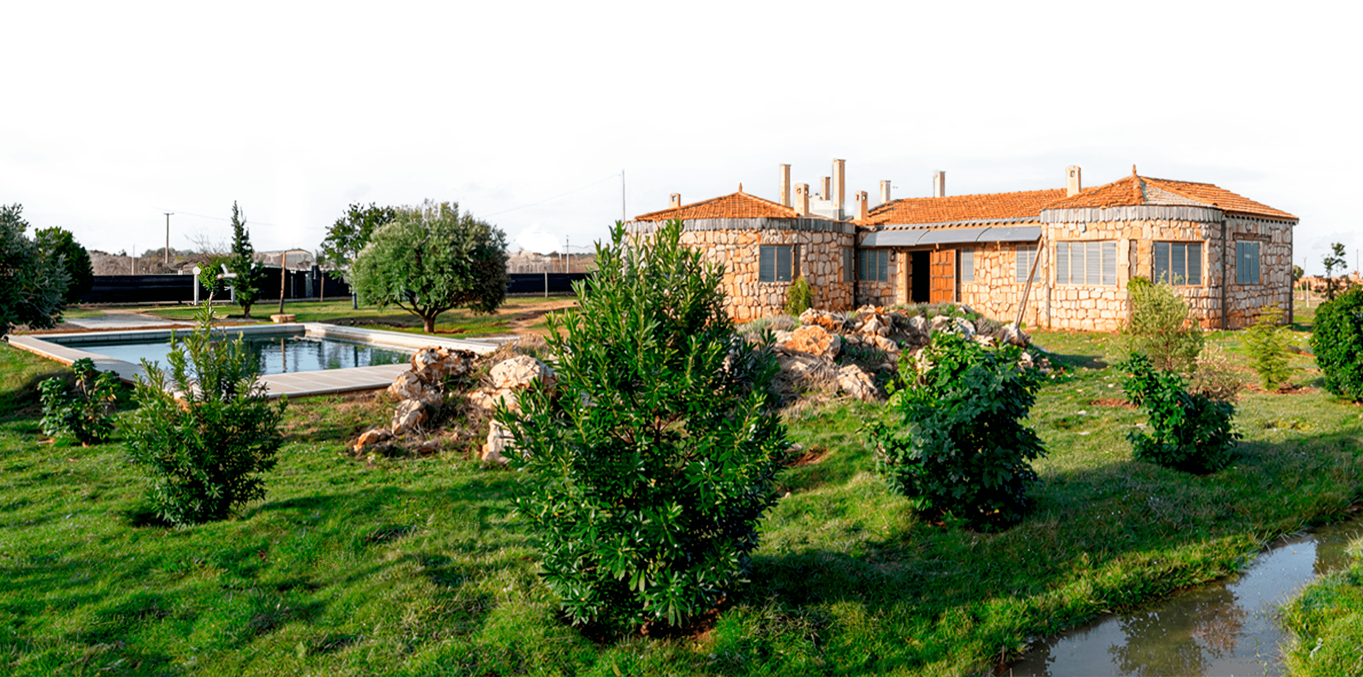 modern sculptural building with curved wooden exterior