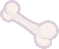 Bone