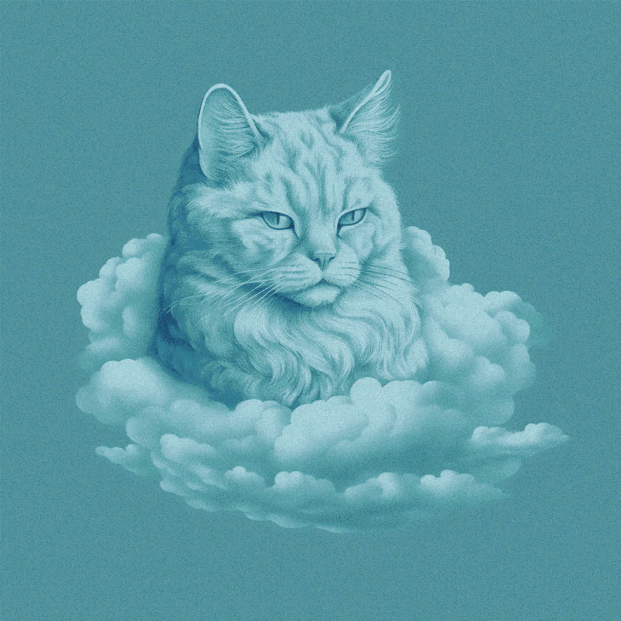 Cat in the clouds
