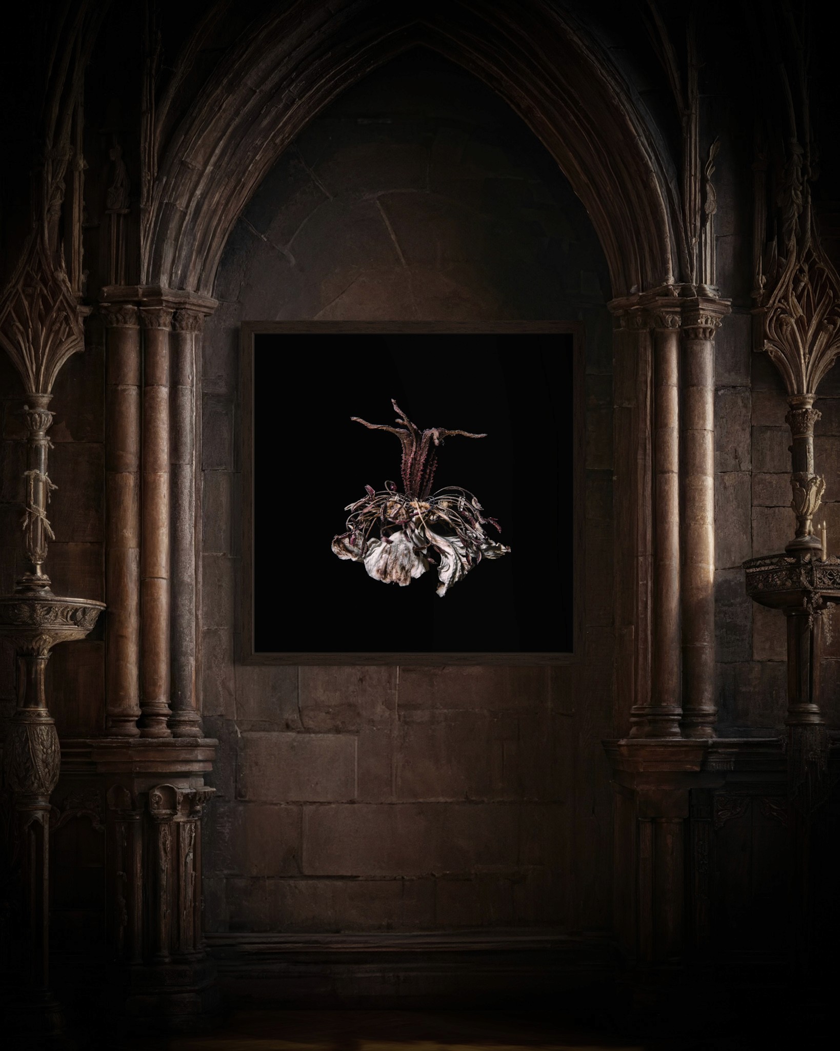 Album Photo Real Mehedi Free Framer Template Photography