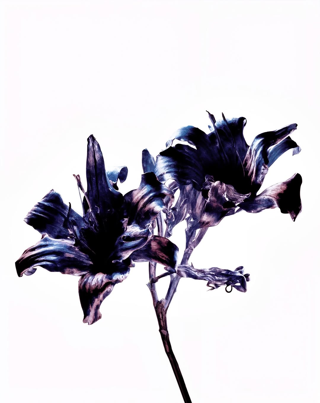 a movement toward intelligent performance