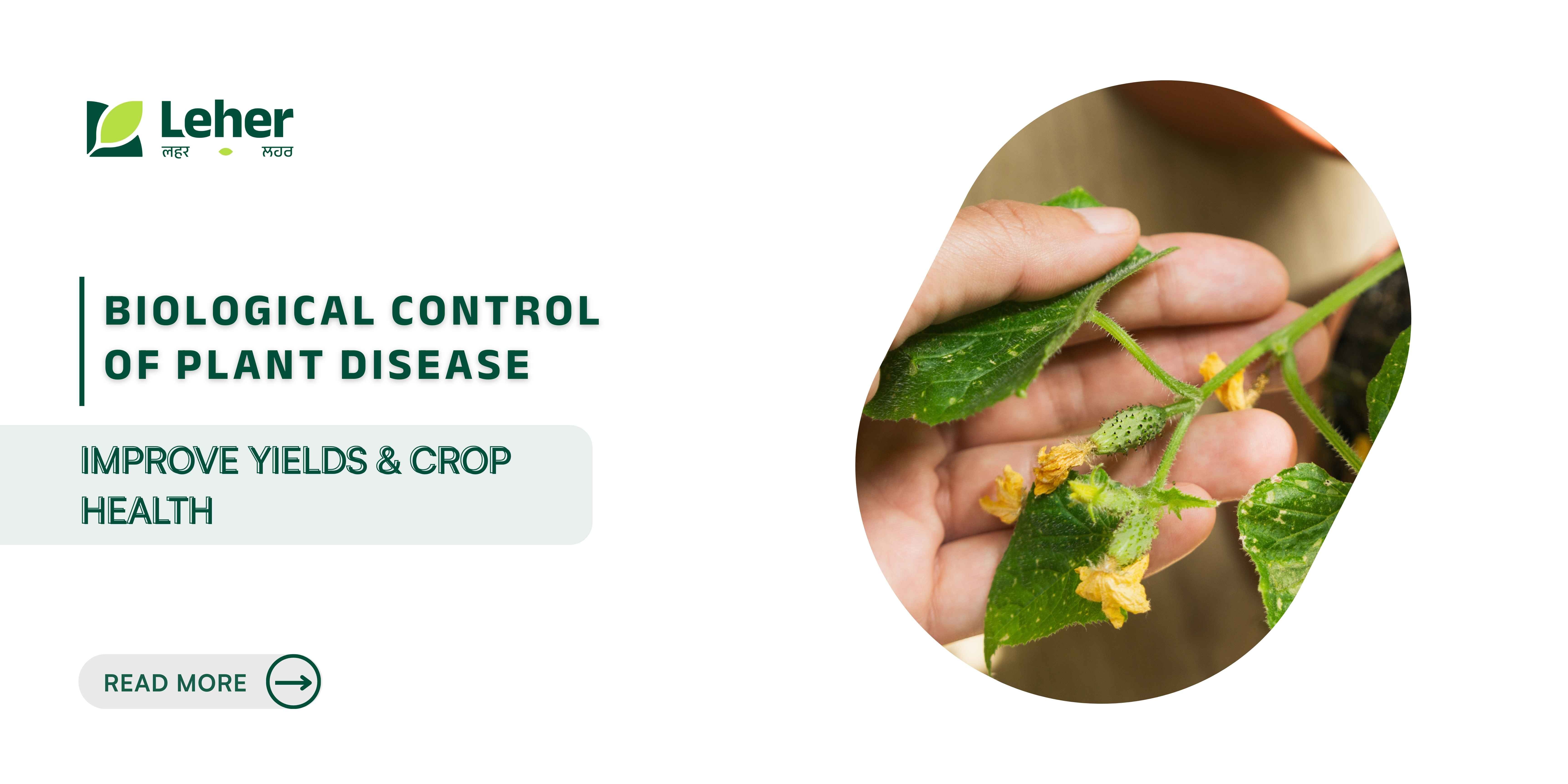 Biological Control of Plant Disease: Improve Yields and Crop Health