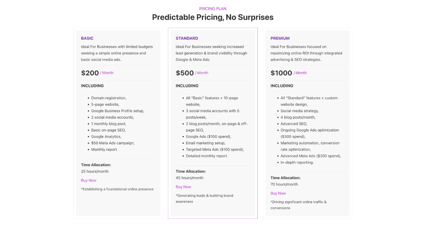 Screengrab of web development marketing package prices.