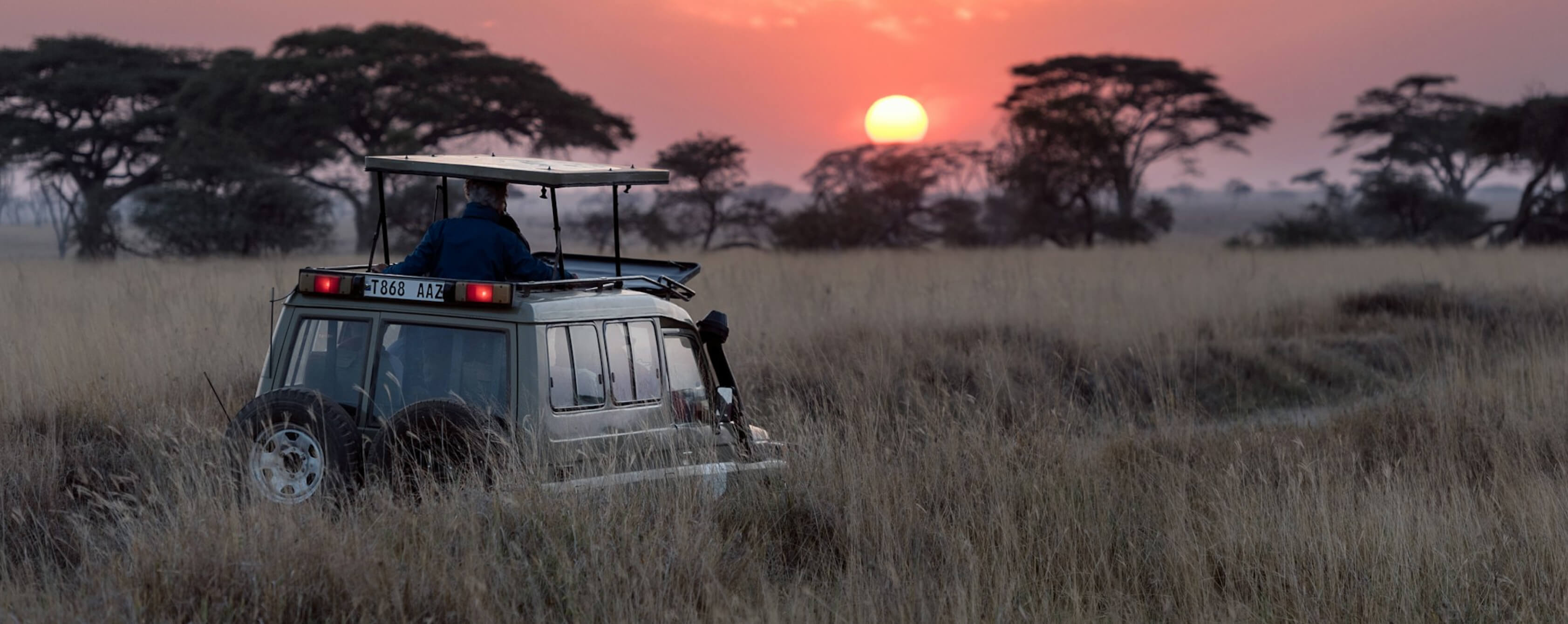 Safari sunset