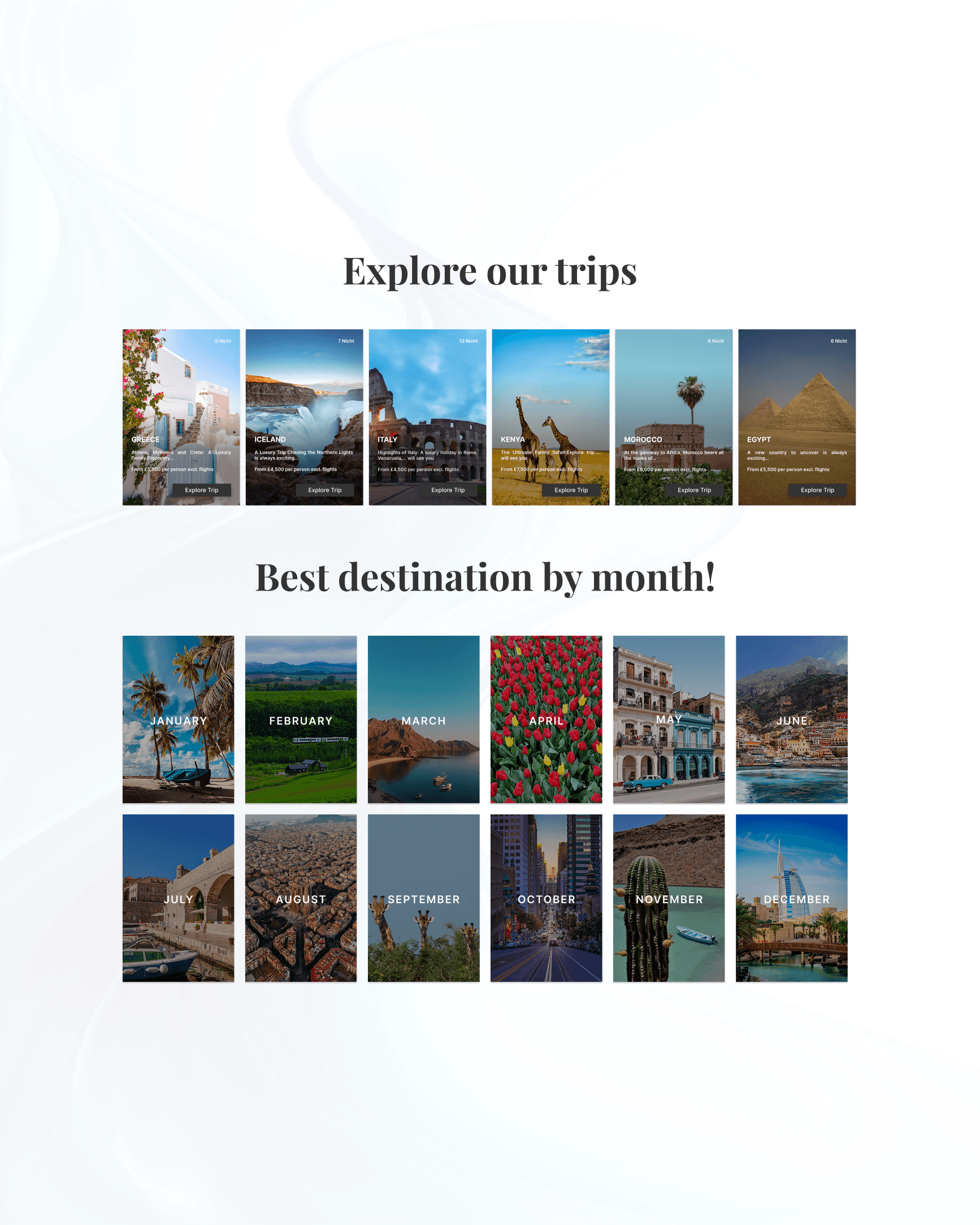 botanical garden with fogged windows