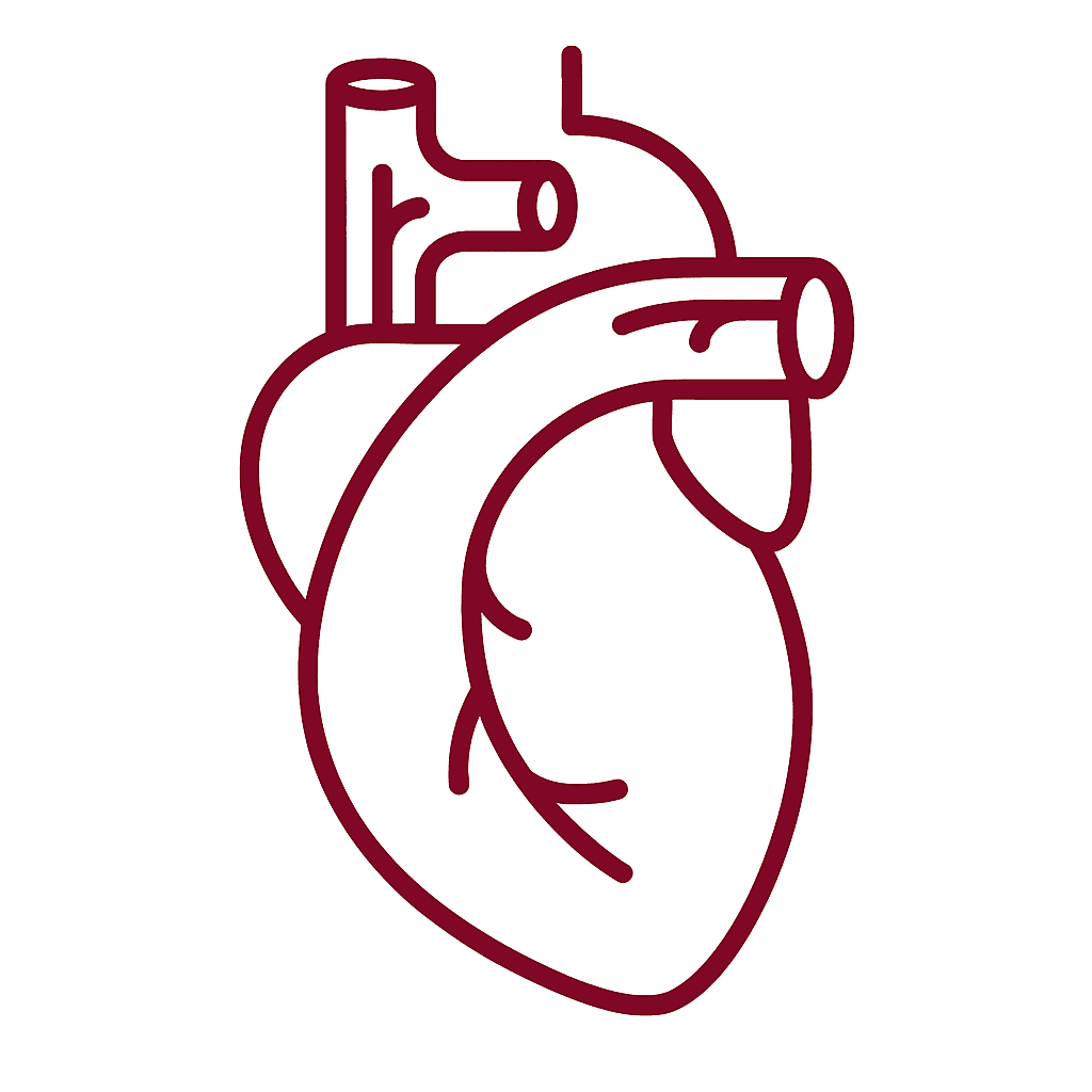 Ícone de um coração de check-up cardiológico preventivo, um dos principais serviços da Dra. Viviane Batista em Goiânia.