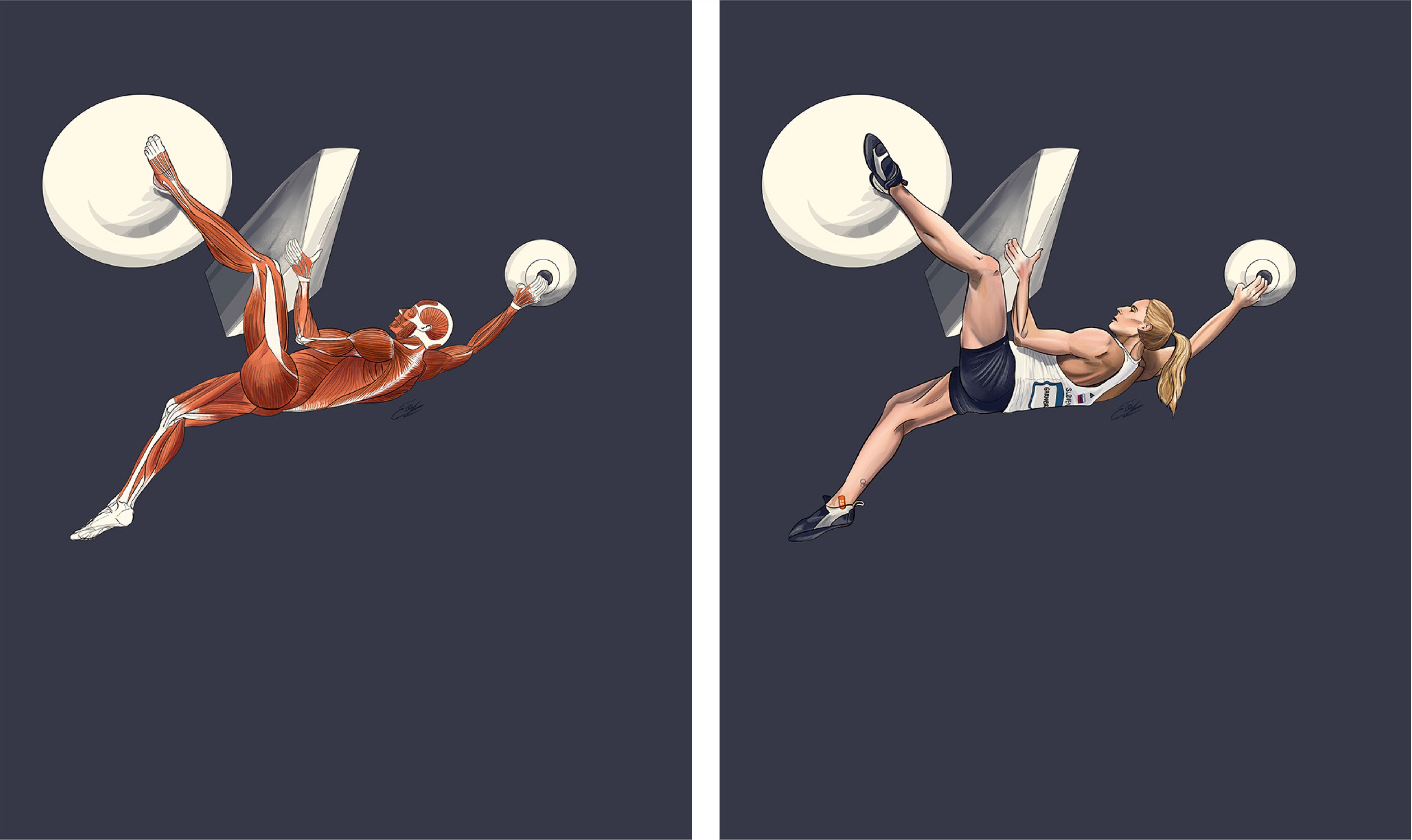 Esquisses d'une grimpeuse et de son anatomie musculaire par Élodie Ouellet-Belleau, illustratrice scientifique