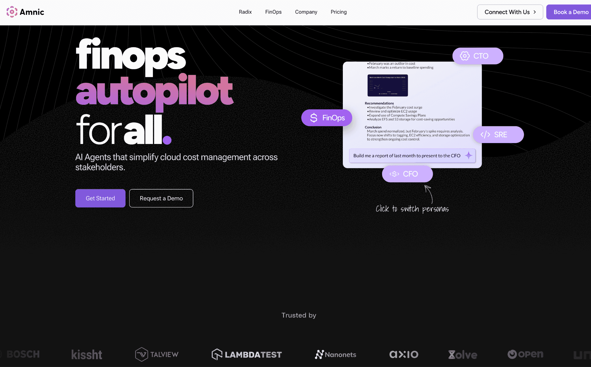 Amnic SaaS Cloud cost optimization tool