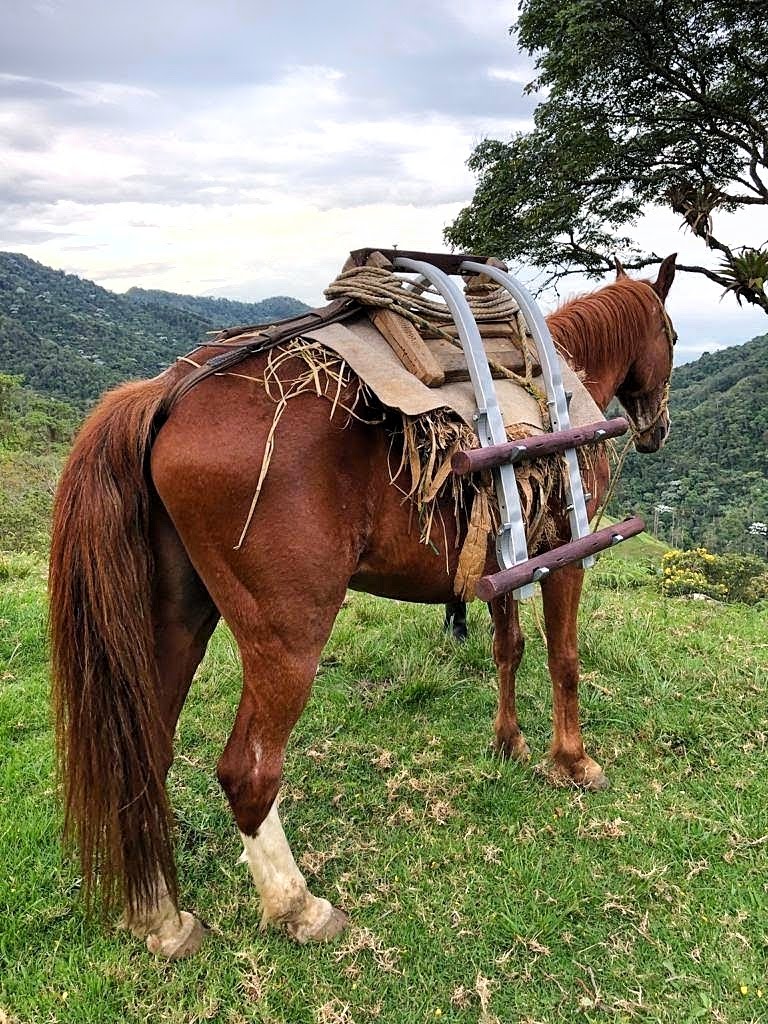 diseño de producto
