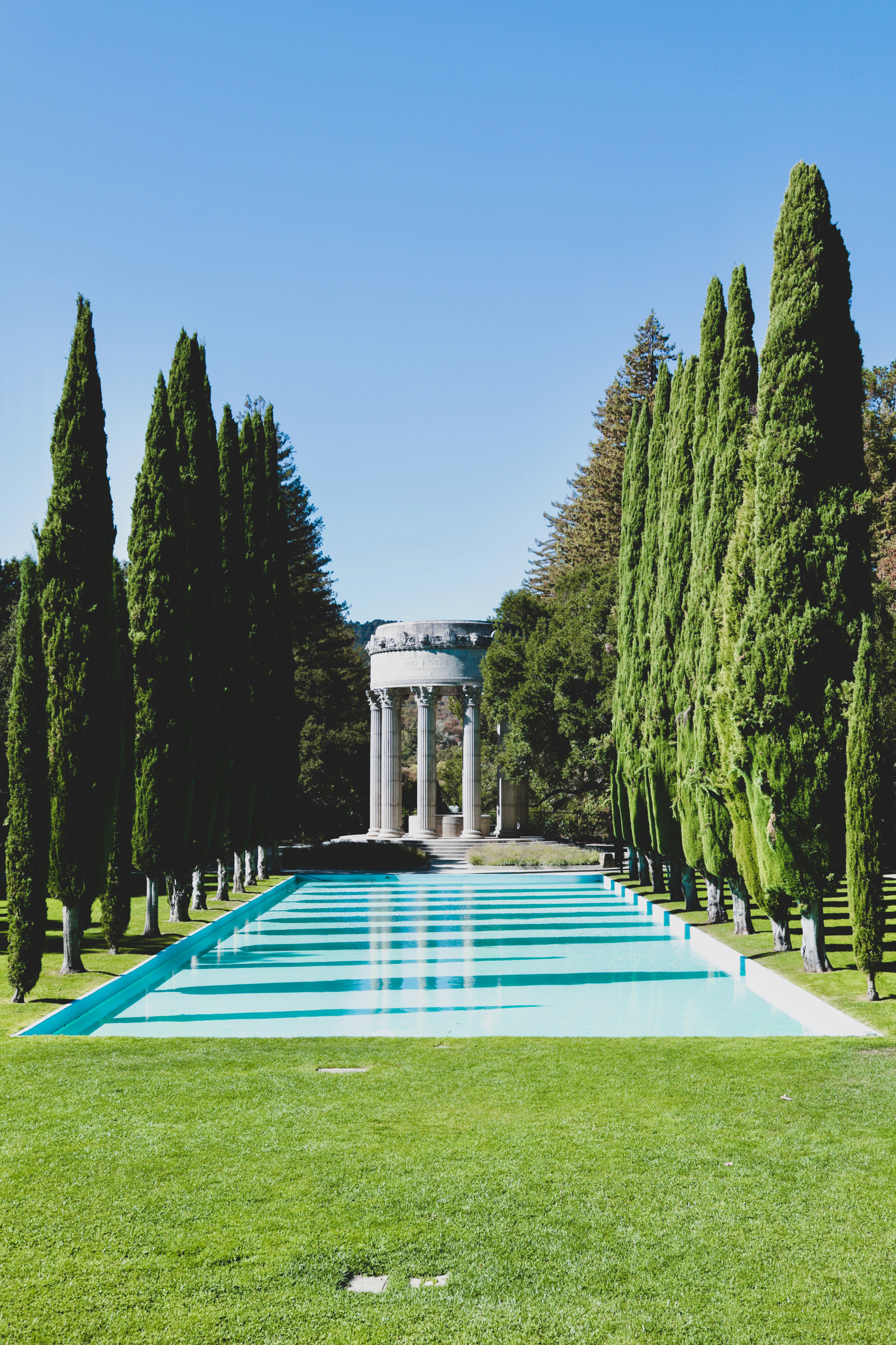 Morning jogger scene