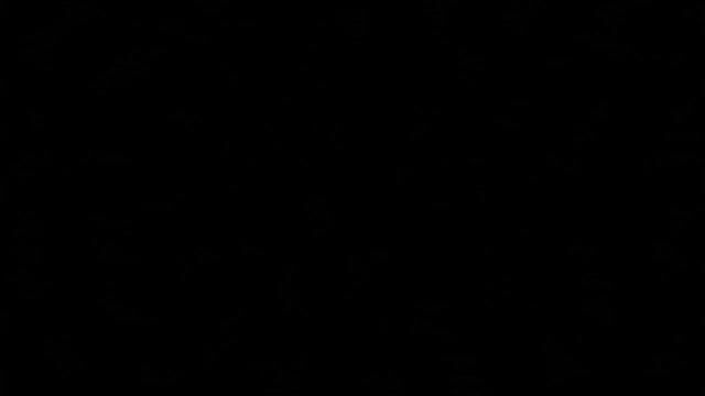 Epic Wildlife Campaign Trailer