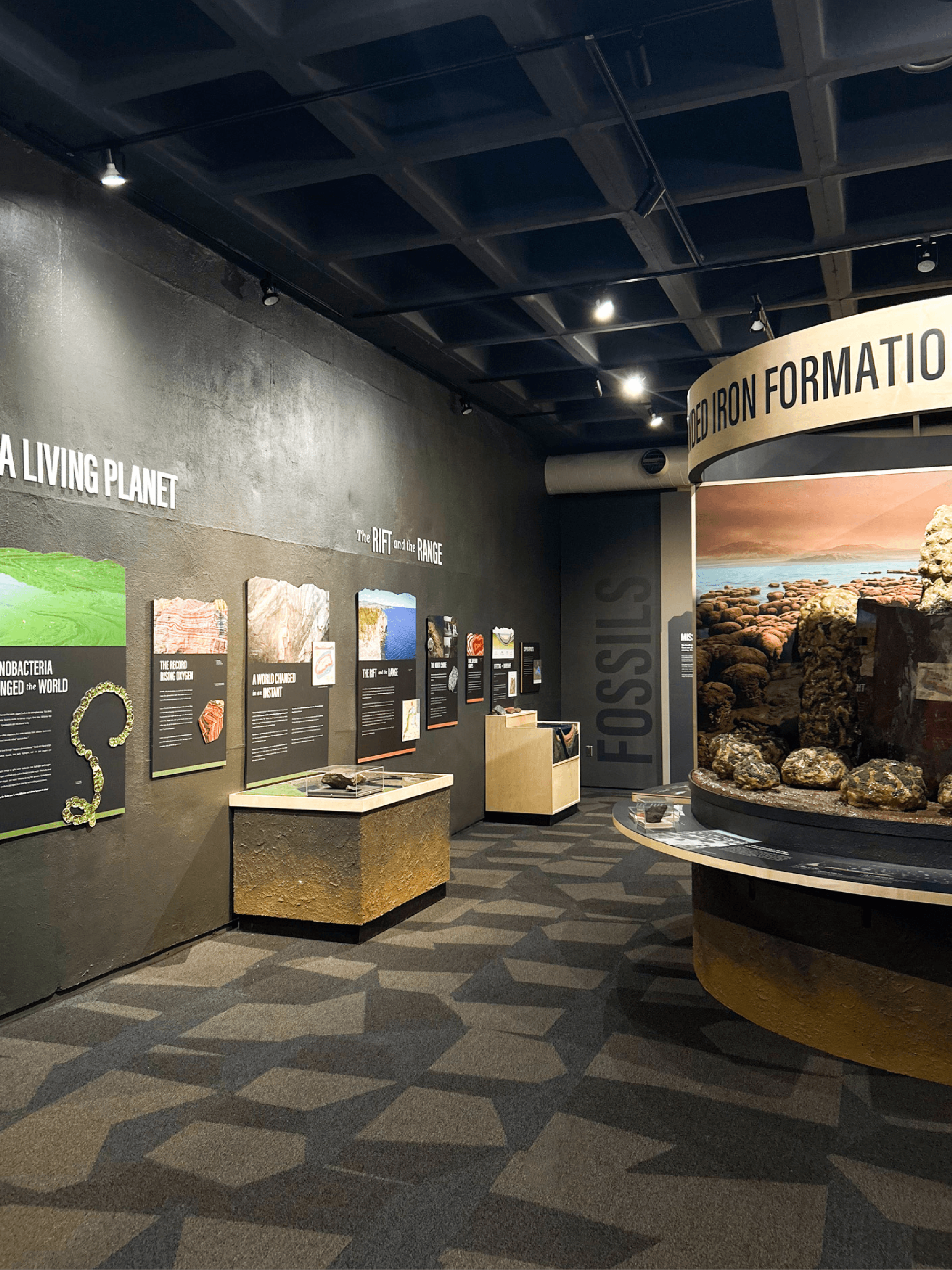 Hall of Geology Project Cover Image