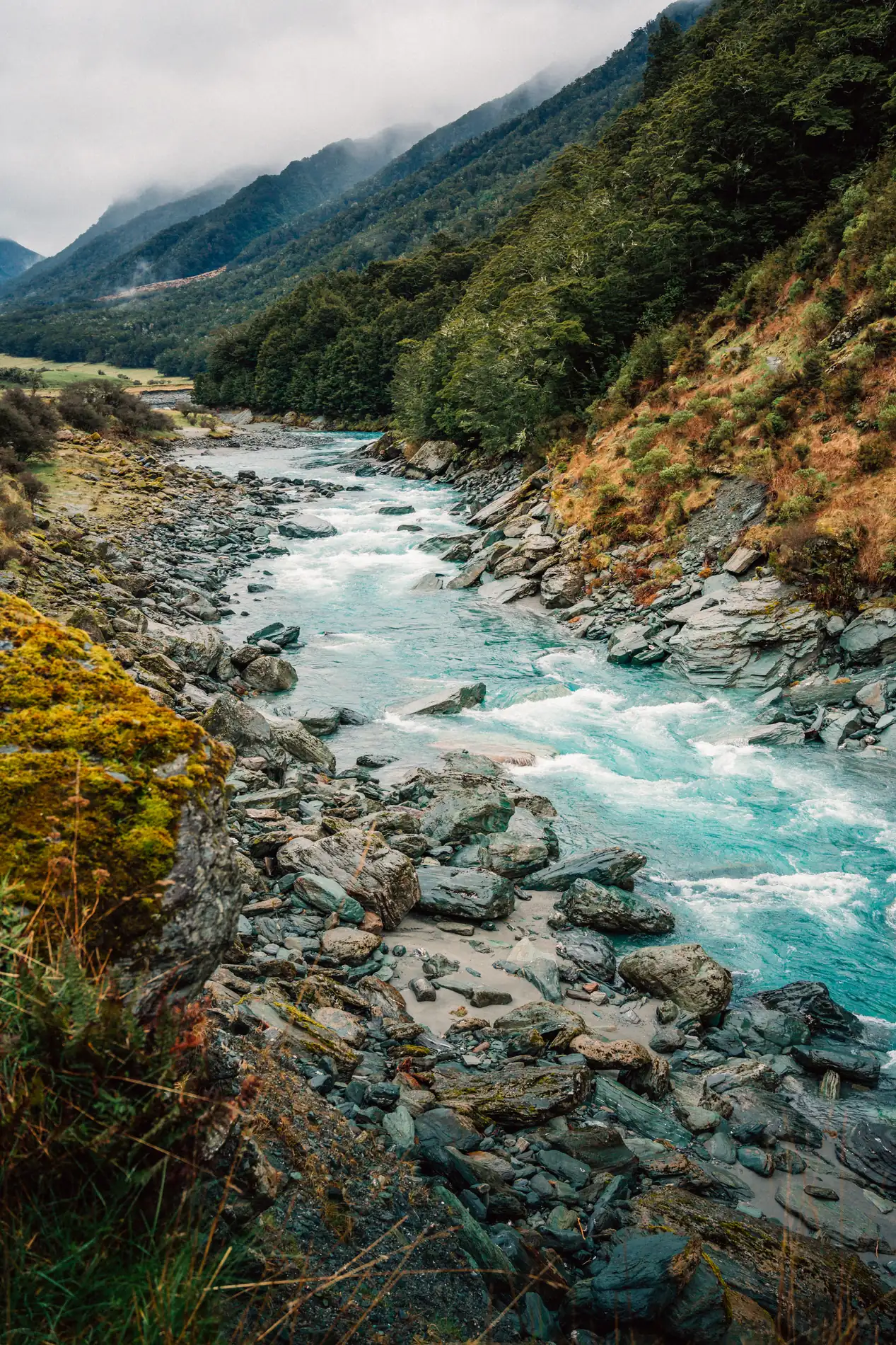 Aerial of a turquoise river braiding between rocky banks in a green valley