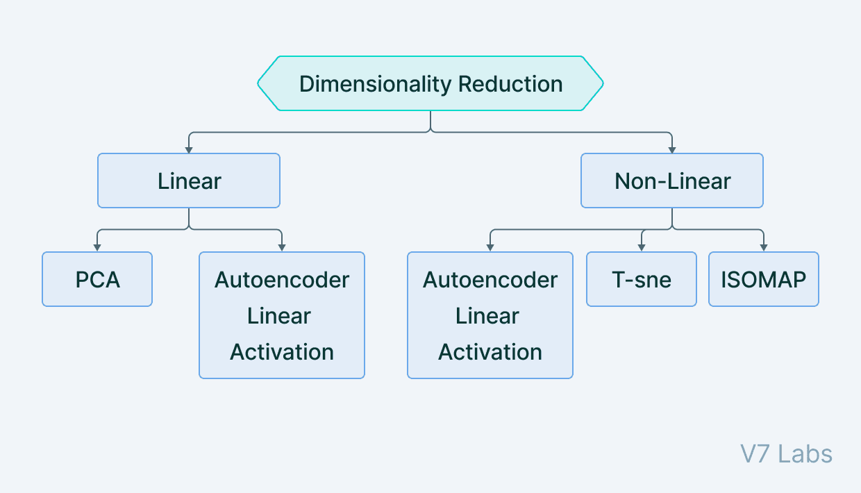 Dimensionality Reduction 